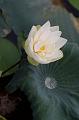 IMG-20190625-WA0041