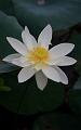 IMG-20190625-WA0043
