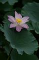 IMG-20190625-WA0047