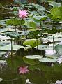 IMG-20190625-WA0089