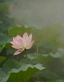 IMG-20190625-WA0090