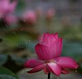 IMG-20190625-WA0091