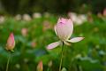 IMG-20190625-WA0092