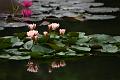 IMG-20190625-WA0093