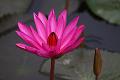 IMG-20190625-WA0094