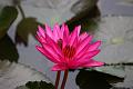 IMG-20190625-WA0095