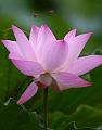 IMG-20190625-WA0097
