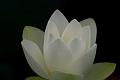 IMG-20190625-WA0104