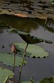 IMG-20190625-WA0135