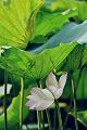 IMG-20190625-WA0138