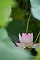 IMG-20190625-WA0142
