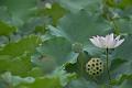 IMG-20190625-WA0143