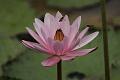 IMG-20190626-WA0000