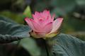 IMG-20190626-WA0005