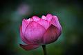 IMG-20190626-WA0076