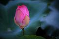 IMG-20190626-WA0119