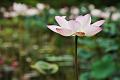 IMG-20190626-WA0125