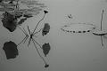 IMG-20190626-WA0127
