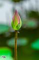 IMG-20190626-WA0140