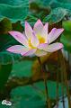 IMG-20190626-WA0141