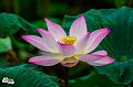 IMG-20190626-WA0143