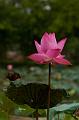 IMG-20190626-WA0149