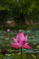 IMG-20190626-WA0150