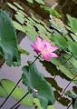 IMG-20190627-WA0022