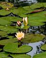 IMG-20190627-WA0025