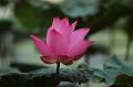 IMG-20190630-WA0001