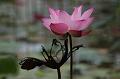 IMG-20190630-WA0002