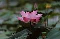 IMG-20190630-WA0003