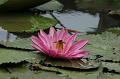 IMG-20190630-WA0004