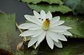 IMG-20190630-WA0009