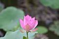 IMG-20190630-WA0011