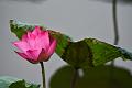 IMG-20190630-WA0012