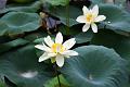 IMG-20190630-WA0014