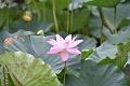 IMG-20190630-WA0015