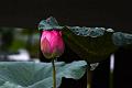 IMG-20190630-WA0016