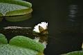 IMG-20190630-WA0017