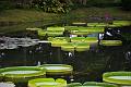 IMG-20190630-WA0018