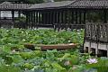 IMG-20190630-WA0019