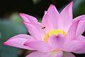 IMG-20190630-WA0020