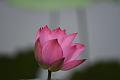IMG-20190630-WA0021