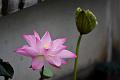 IMG-20190630-WA0022