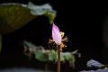 IMG-20190630-WA0023