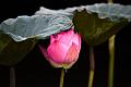 IMG-20190630-WA0026
