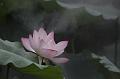 IMG-20190702-WA0007