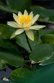 IMG-20240622-WA0000