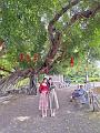 IMG-20240624-WA0014